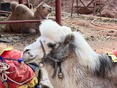 -天山神秘大峡谷