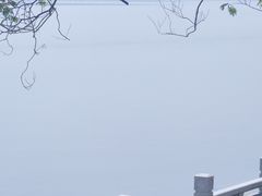 -观潮胜地公园