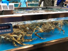 -盒马鲜生(大成店)
