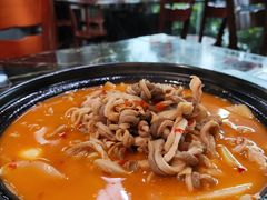 -李师傅脆肚(华强北店)