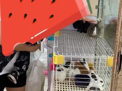 -三旗百汇商品城