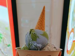 -极拉图·现制冰淇淋(大卫城店)