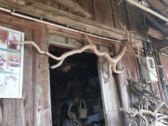 -许家山