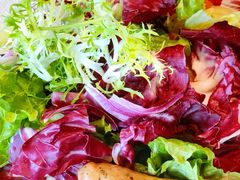 蔬菜沙拉-丽晶酒店-金宝99 Restaurant