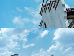-宁波杭州湾国家湿地公园
