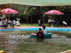 -西部长青自然儿童乐园