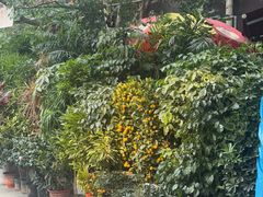 -青石桥花鸟鱼虫市场(叠翠城店)