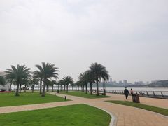 -野狸岛