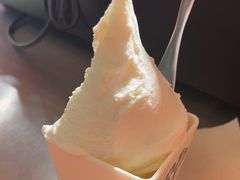 -野人先生现做冰淇淋(北京王府井东方新天地店)