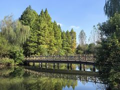 -溱湖国家湿地公园