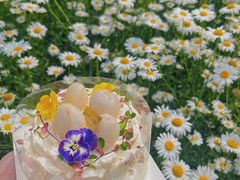 -卷心卷意·轻甜蛋糕(新光天地店)