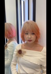 -YESIDO椰岛造型
