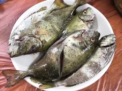 -蚝乡农庄(铁涌赤岸店)