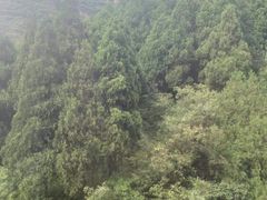-狼牙山风景区