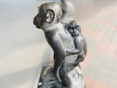 -北京动物园