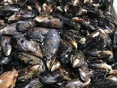 -毕家疃综合市场