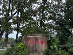 -江心屿景区