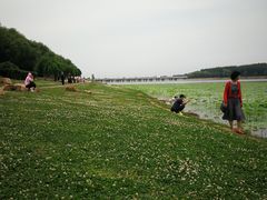 -丁香湖公园