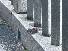 -广州市流溪河国家森林公园