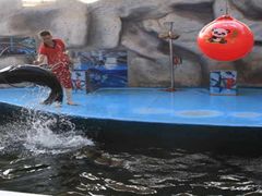 -泉州海丝野生动物世界