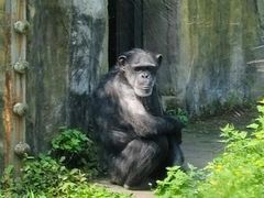 -动物缘宠物医院·骨科·猫科(西二环店)