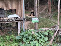 -广州长隆野生动物世界