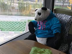 -龙湖西安曲江天街