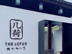 -几荷·恰似故人来(秀水广场店)