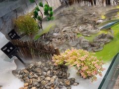 -汉金城海鲜烤肉自助百汇(烟台永旺购物中心店)