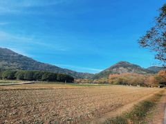 -八卦田遗址公园