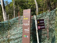 -板樟山森林公园