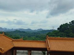 -深圳仙湖植物园