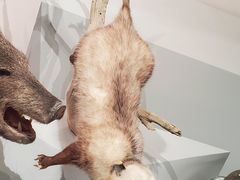 -长江文明馆