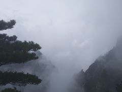 -和悦日料(雅颂庭店)