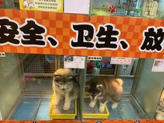 -汤姆宠物(长青北路店)