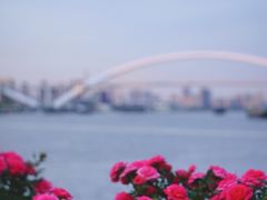 -龙美术馆(西岸馆)