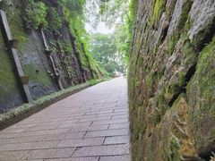 -乌山风景区