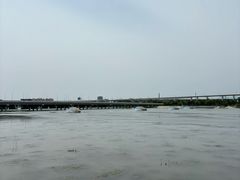 -绿堤公园