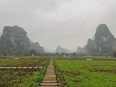 -明仕田园