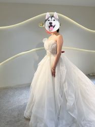 -GRACE KELLY婚纱与礼服(天津店)