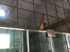 -哈尔滨北方森林动物园