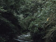 -天台山景区