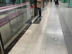 -宋家庄(地铁站)