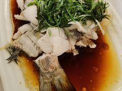 鲈鱼-朱仔记食府(江南大道店)