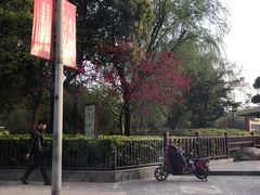 -宝大祥青少年儿童购物中心(南京东路店)