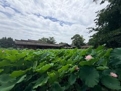 -莫催咖啡
