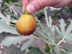 -美家乐农庄·露营·团建(大治路店)