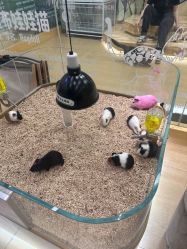 -小象动悟公园(龙湖亦庄天街店)