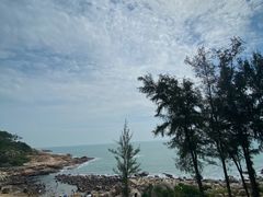 -广东惠东海龟国家级自然保护区