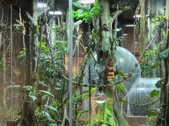 -帕帕拉兹宠物(亚洲旗舰店)